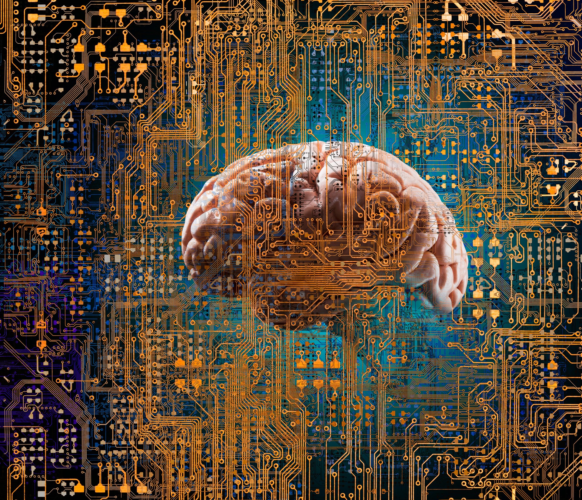 Human brain and computer network